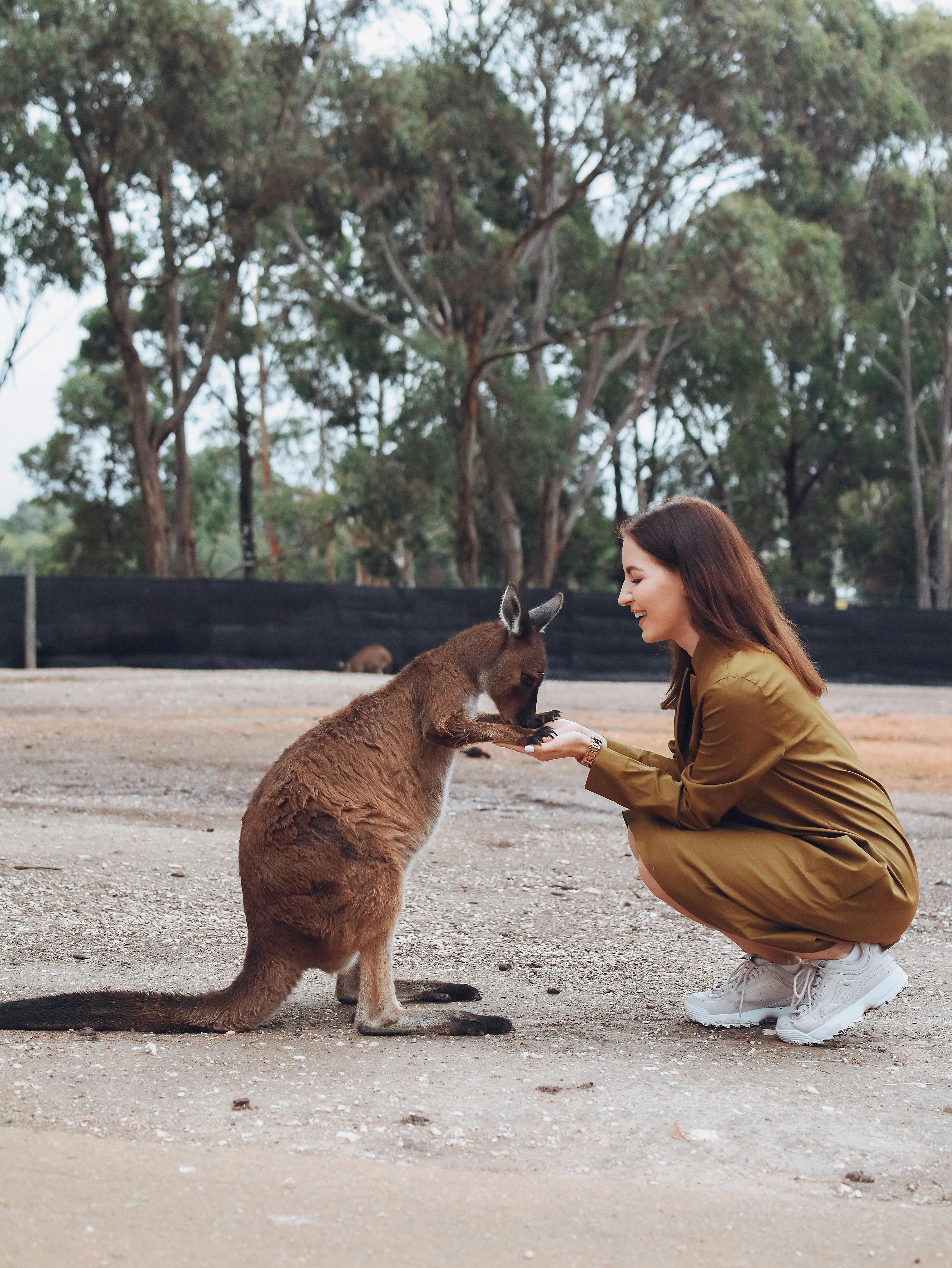 Study in Australia